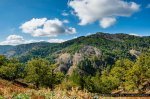 La foresta Croce di Dio-Forgiarelle - ©Giancarlo Parisi